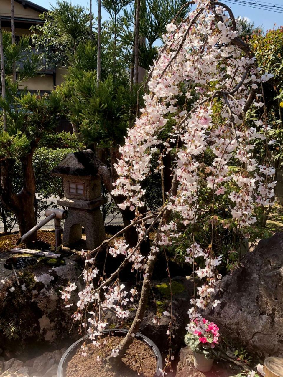 Hostel Kyoto Arashiyama Muko Bagian luar foto