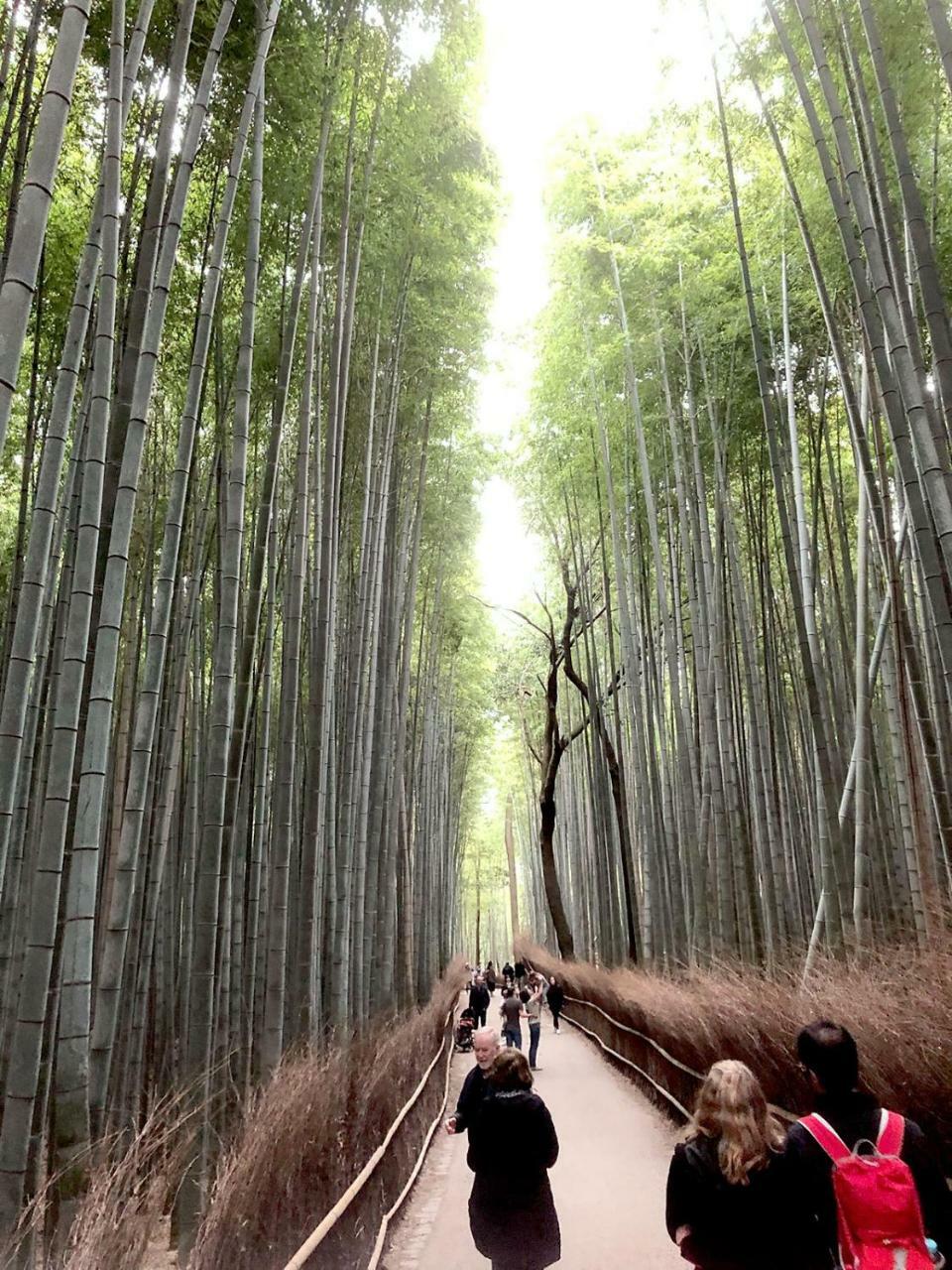 Hostel Kyoto Arashiyama Muko Bagian luar foto